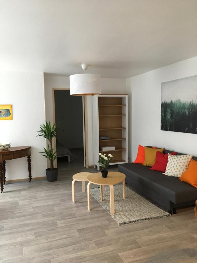 Samba Appartement De Charme 5 Pers ミュルーズ エクステリア 写真