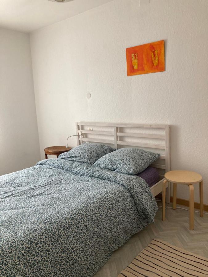 Samba Appartement De Charme 5 Pers ミュルーズ エクステリア 写真
